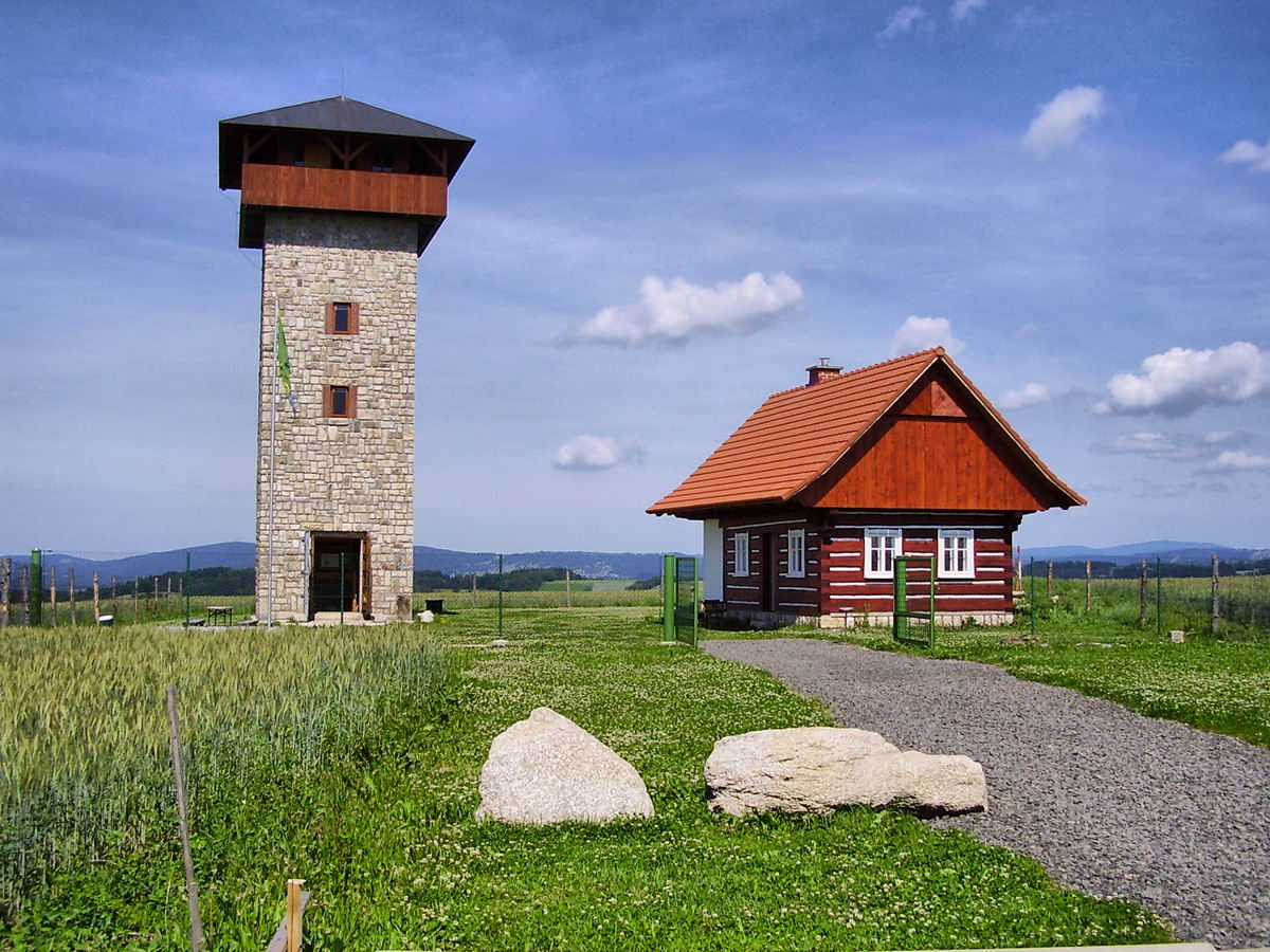 rozhledna U borovice